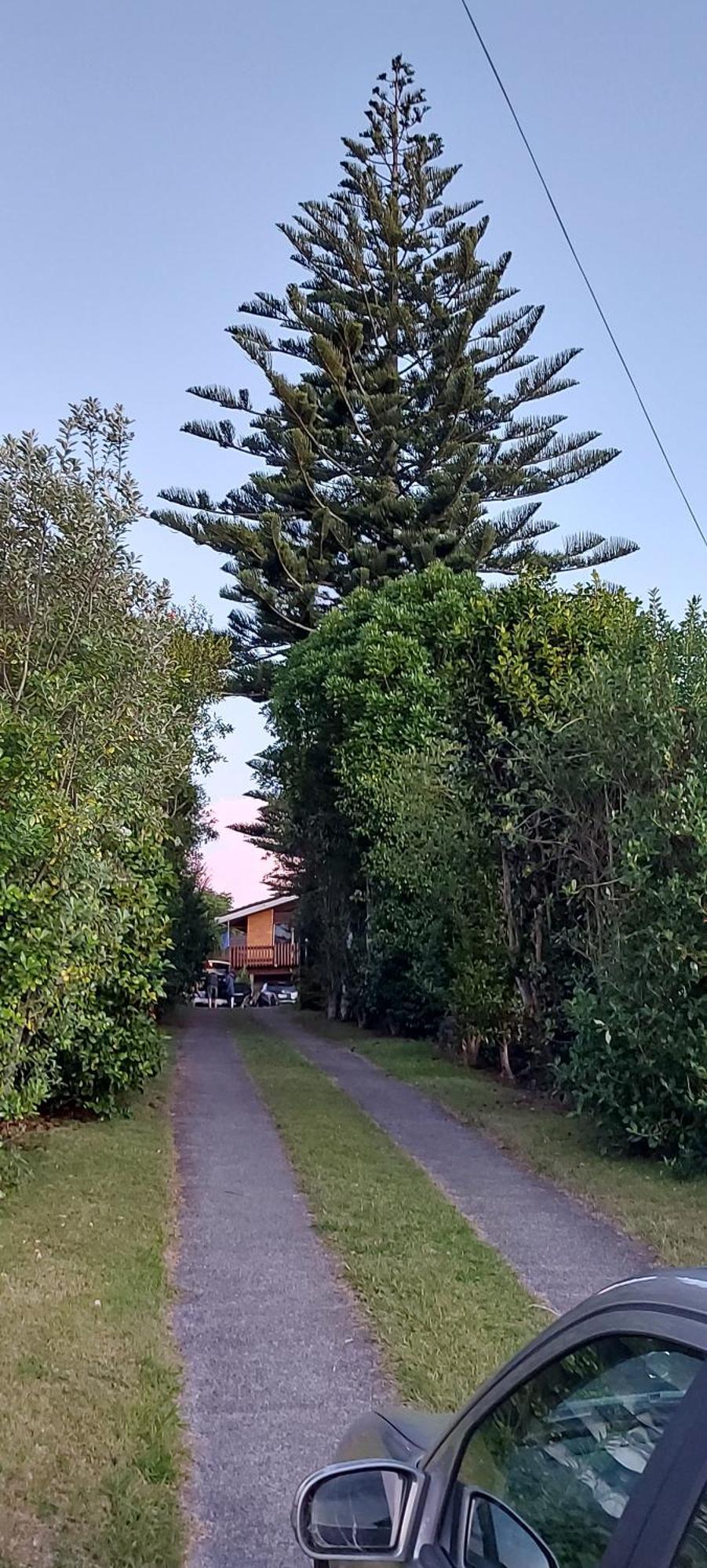 Haley'S Cabin Tauranga Bagian luar foto