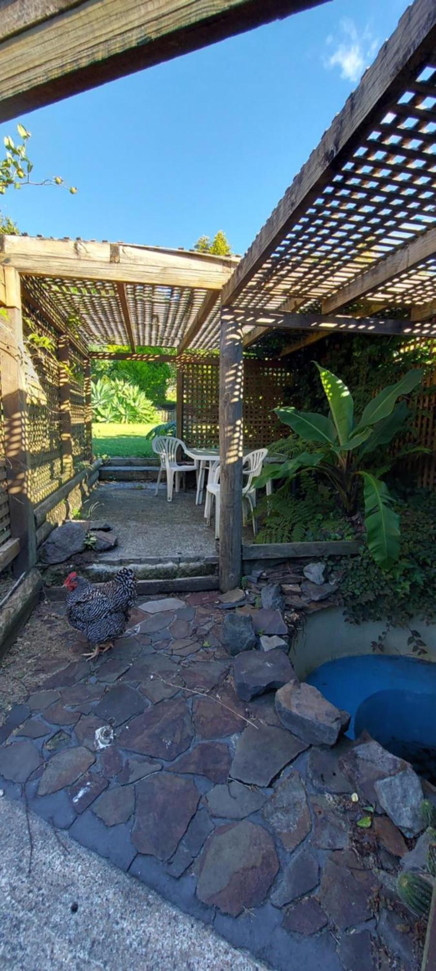 Haley'S Cabin Tauranga Bagian luar foto