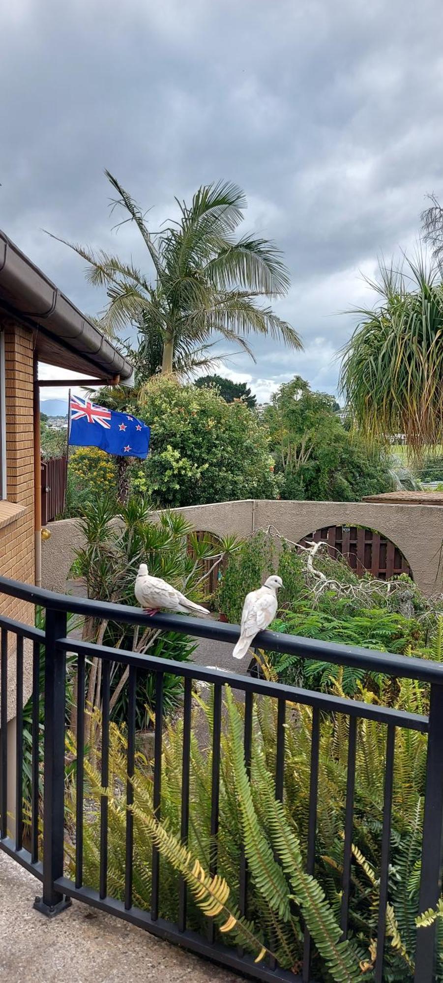 Haley'S Cabin Tauranga Bagian luar foto